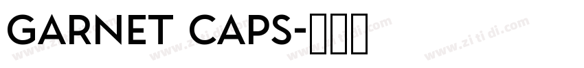 GARNET CAPS字体转换